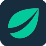 Bitfinex������