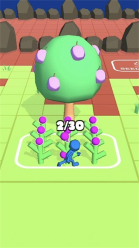 ���ǿ�����