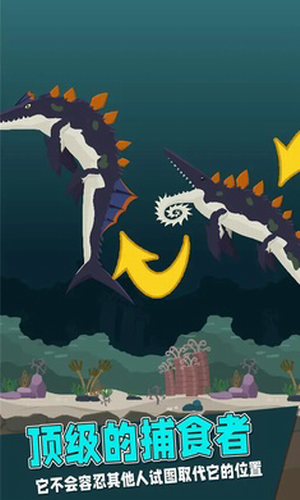 Զ�ź��󾺼���