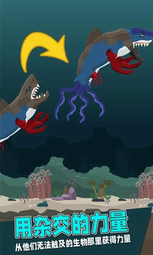 Զ�ź��󾺼���