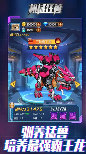 ���׿���