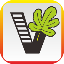 ��Ҫ��ѧ��app
